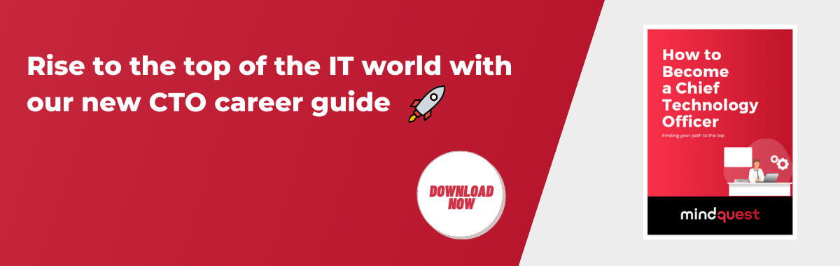 Download the definitive CTO career guide cover
