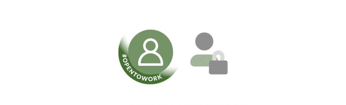 OpenToWork Profiles on LinkedIn